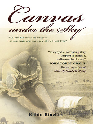 cover image of Canvas Under the Sky